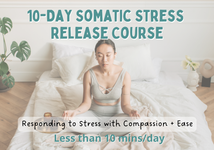 Somatic Stress Release, Somatic Healing, Somatic Coach